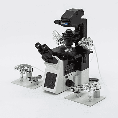 Microscopio biológico profesional para laboratorios de investigación y bioteconología, equipado con componentes avanzados y accesorios para análisis científico preciso.